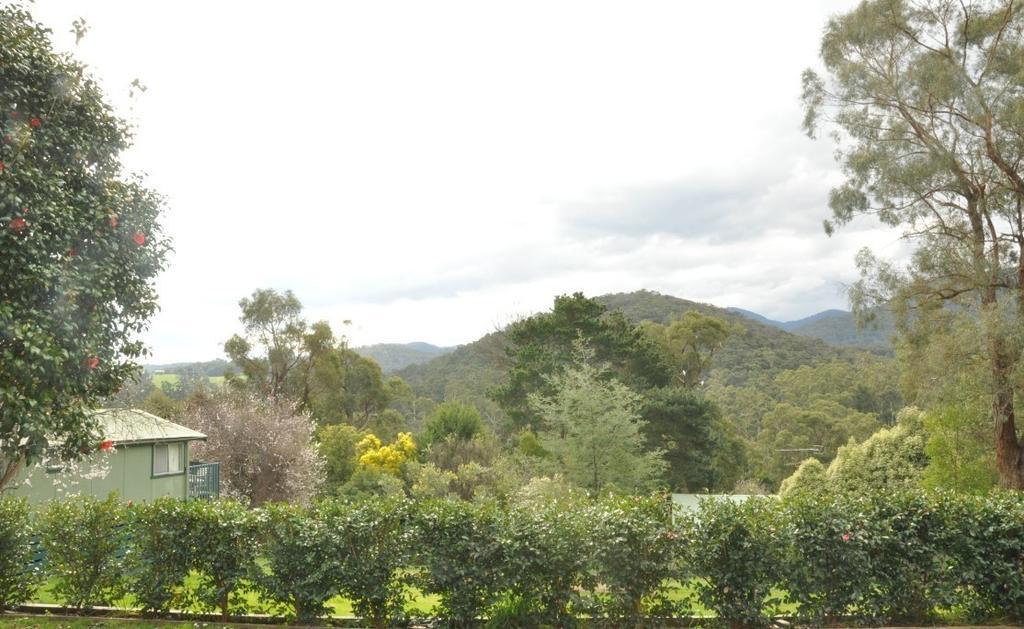 Healesville Maroondah View Motel Zewnętrze zdjęcie